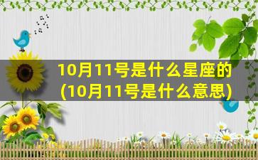 10月11号是什么星座的(10月11号是什么意思)