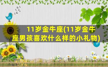 11岁金牛座(11岁金牛座男孩喜欢什么样的小礼物)