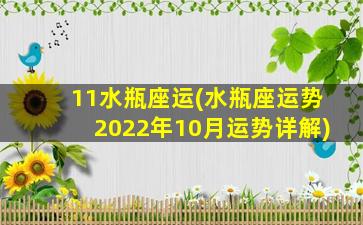 11水瓶座运(水瓶座运势2022年10月运势详解)