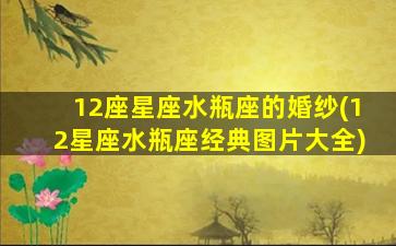 12座星座水瓶座的婚纱(12星座水瓶座经典图片大全)