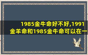 1985金牛命好不好,1991金羊命和1985金牛命可以在一起吗