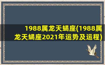 1988属龙天蝎座(1988属龙天蝎座2021年运势及运程)