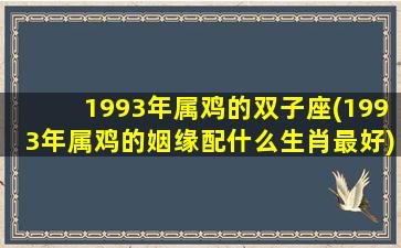 1993年属鸡的双子座(1993年属鸡的姻缘配什么生肖最好)