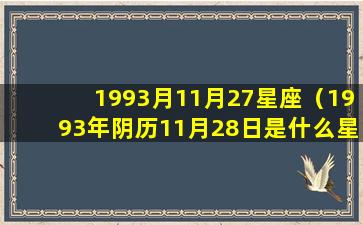 1993月11月27星座（1993年阴历11月28日是什么星座）