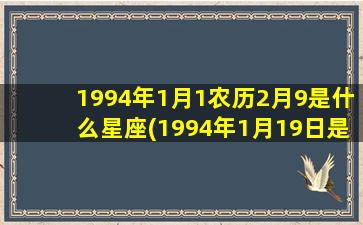 1994年1月1农历2月9是什么星座(1994年1月19日是什么星座)