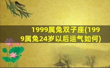 1999属兔双子座(1999属兔24岁以后运气如何)