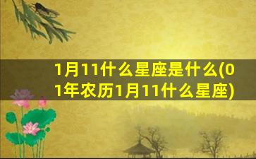 1月11什么星座是什么(01年农历1月11什么星座)