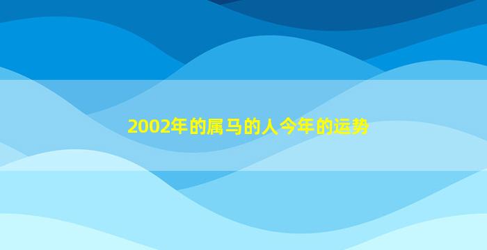 2002年的属马的人今年的运势