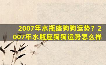 2007年水瓶座狗狗运势？2007年水瓶座狗狗运势怎么样