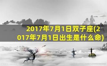 2017年7月1日双子座(2017年7月1日出生是什么命)