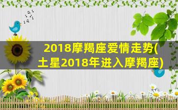 2018摩羯座爱情走势(土星2018年进入摩羯座)