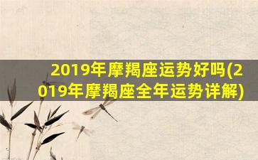 2019年摩羯座运势好吗(2019年摩羯座全年运势详解)