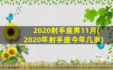 2020射手座男11月(2020年射手座今年几岁)