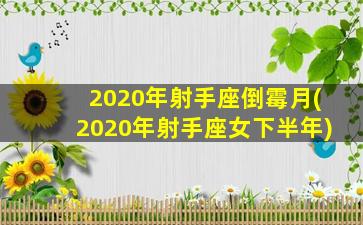 2020年射手座倒霉月(2020年射手座女下半年)