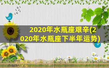 2020年水瓶座艰辛(2020年水瓶座下半年运势)