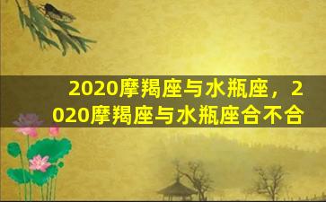 2020摩羯座与水瓶座，2020摩羯座与水瓶座合不合