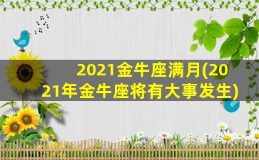 2021金牛座满月(2021年金牛座将有大事发生)