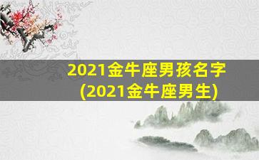 2021金牛座男孩名字(2021金牛座男生)