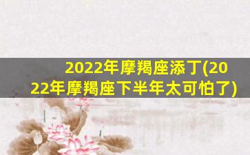 2022年摩羯座添丁(2022年摩羯座下半年太可怕了)