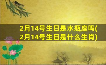 2月14号生日是水瓶座吗(2月14号生日是什么生肖)