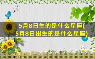 5月8日生的是什么星座(5月8日出生的是什么星座)