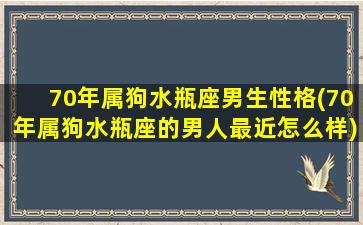 70年属狗水瓶座男生性格(70年属狗水瓶座的男人最近怎么样)