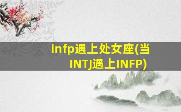 infp遇上处女座(当INTJ遇上INFP)