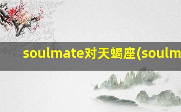 soulmate对天蝎座(soulmate)