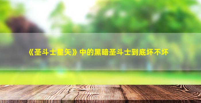 《圣斗士星矢》中的黑暗圣斗士到底坏不坏