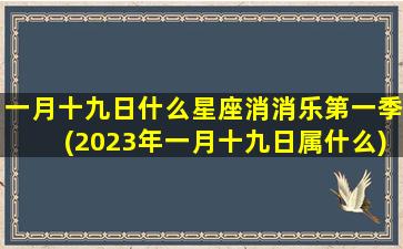 一月十九日什么星座消消乐第一季(2023年一月十九日属什么)