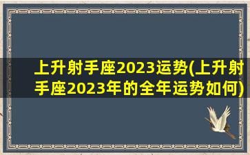 上升射手座2023运势(上升射手座2023年的全年运势如何)