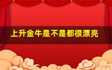 上升金牛是不是都很漂亮