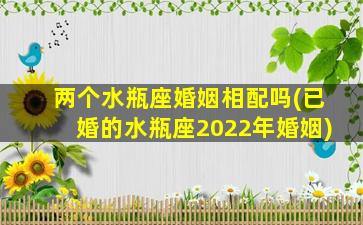 两个水瓶座婚姻相配吗(已婚的水瓶座2022年婚姻)