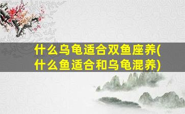 什么乌龟适合双鱼座养(什么鱼适合和乌龟混养)