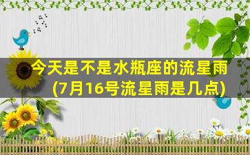 今天是不是水瓶座的流星雨(7月16号流星雨是几点)