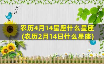 农历4月14星座什么星座(农历2月14日什么星座)