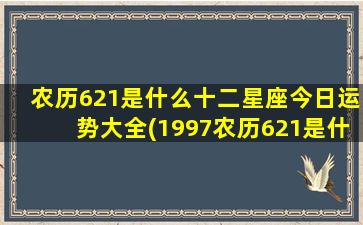 农历621是什么十二星座今日运势大全(1997农历621是什么星座)