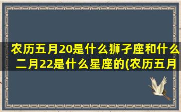 农历五月20是什么狮孑座和什么二月22是什么星座的(农历五月初五是什)