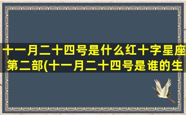 十一月二十四号是什么红十字星座第二部(十一月二十四号是谁的生日)