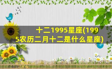 十二1995星座(1995农历二月十二是什么星座)