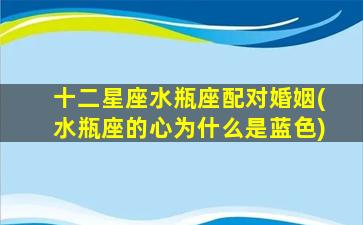 十二星座水瓶座配对婚姻(水瓶座的心为什么是蓝色)