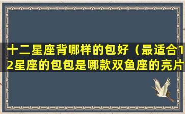 十二星座背哪样的包好（最适合12星座的包包是哪款双鱼座的亮片包,最好看!）