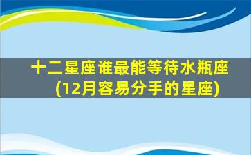 十二星座谁最能等待水瓶座(12月容易分手的星座)