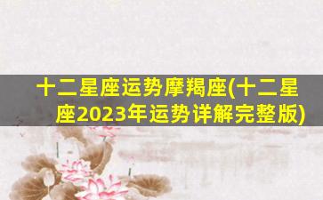 十二星座运势摩羯座(十二星座2023年运势详解完整版)