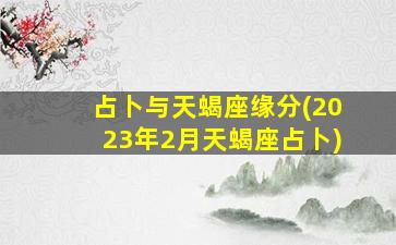 占卜与天蝎座缘分(2023年2月天蝎座占卜)