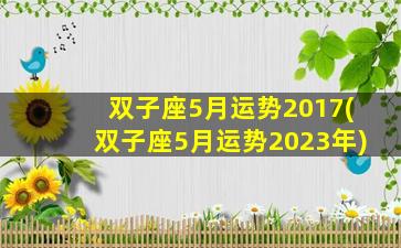 双子座5月运势2017(双子座5月运势2023年)