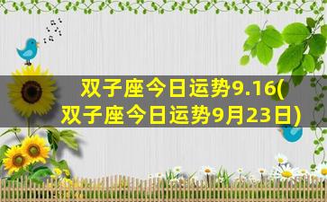 双子座今日运势9.16(双子座今日运势9月23日)