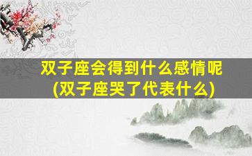 双子座会得到什么感情呢(双子座哭了代表什么)