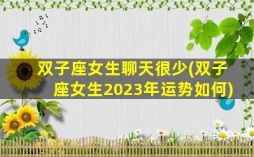 双子座女生聊天很少(双子座女生2023年运势如何)