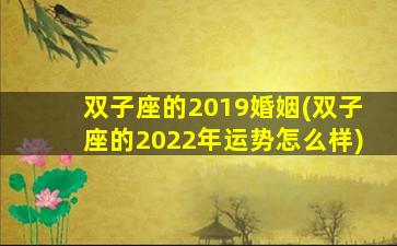 双子座的2019婚姻(双子座的2022年运势怎么样)